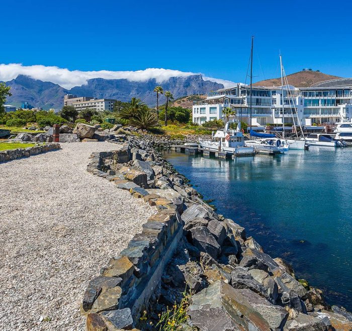 African Anchor in Mouille Point